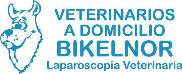 Bikelnor