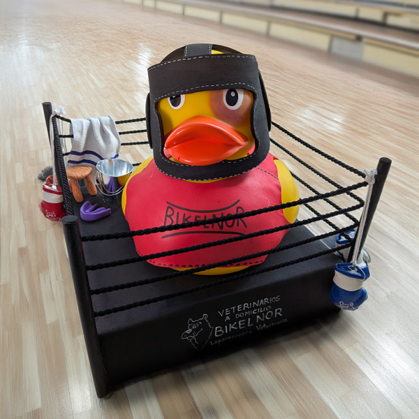 Pato XXL Competición de empresas y grupos WOPaton