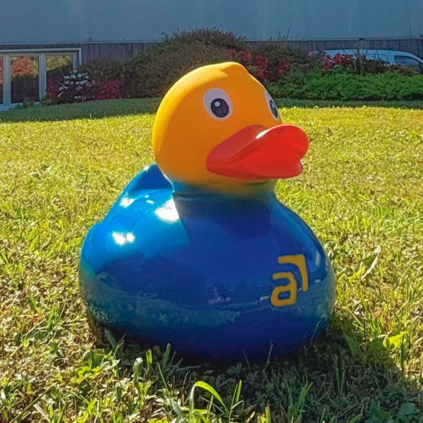 Pato XXL Competición de empresas y grupos WOPaton
